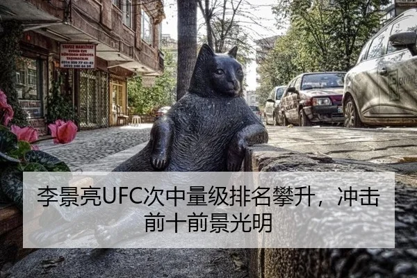 李景亮UFC次中量级排名攀升，冲击前十前景光明